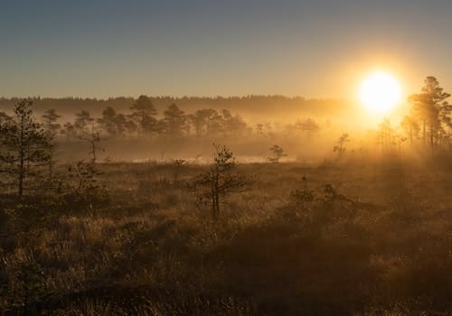 Lahemaa nationalpark